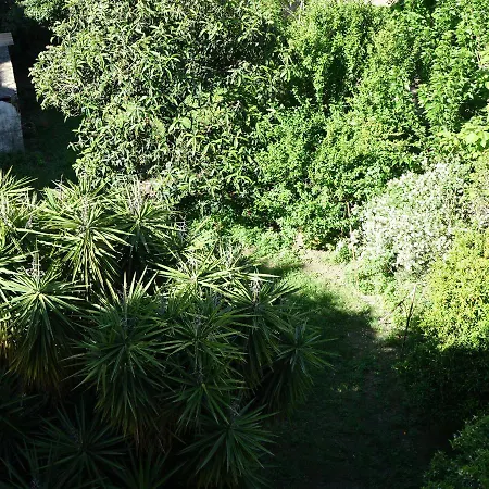 Le Lion Blanc St Raphael Saint-Raphael (Var)